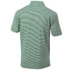 Celtics Shamrock Green Striped  Invite Polo Image coming soon src=